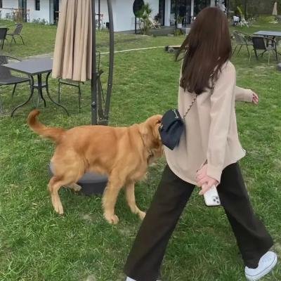 我的意外老公
